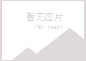 河池曾经造纸有限公司